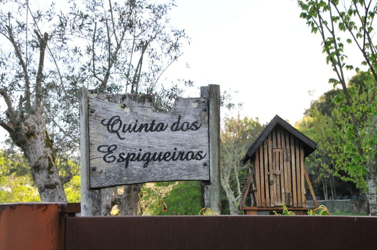 Quinta Dos Espigueiros Villa Sao Tiago Exteriör bild